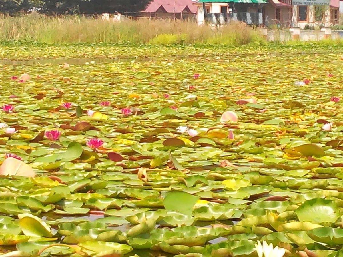 Houseboat - City Of Kashmir Hotel Srinagar  Exterior photo
